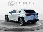 2021 Lexus UX UX 200