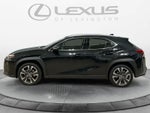 2024 Lexus UX 250h UX 250h