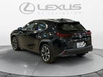 2024 Lexus UX 250h UX 250h