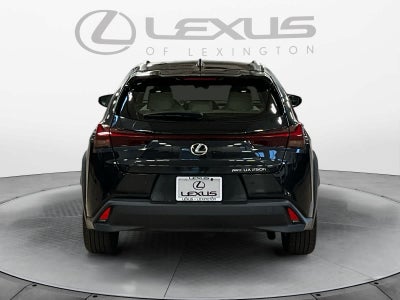 2024 Lexus UX 250h UX 250h