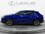 2025 Lexus UX 300h F SPORT Design