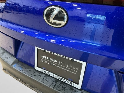 2025 Lexus UX 300h F SPORT Design