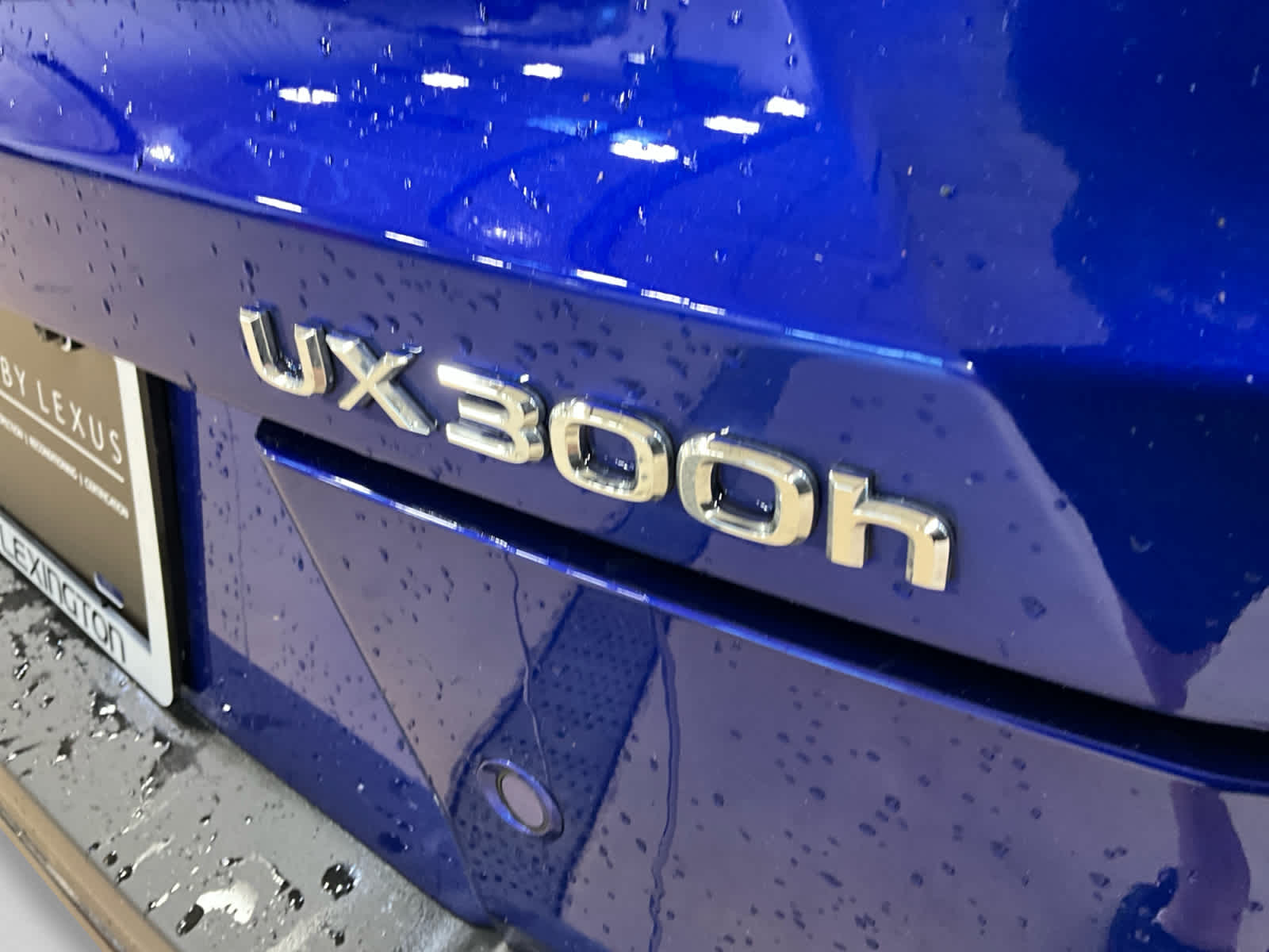 2025 Lexus UX 300h F SPORT Design