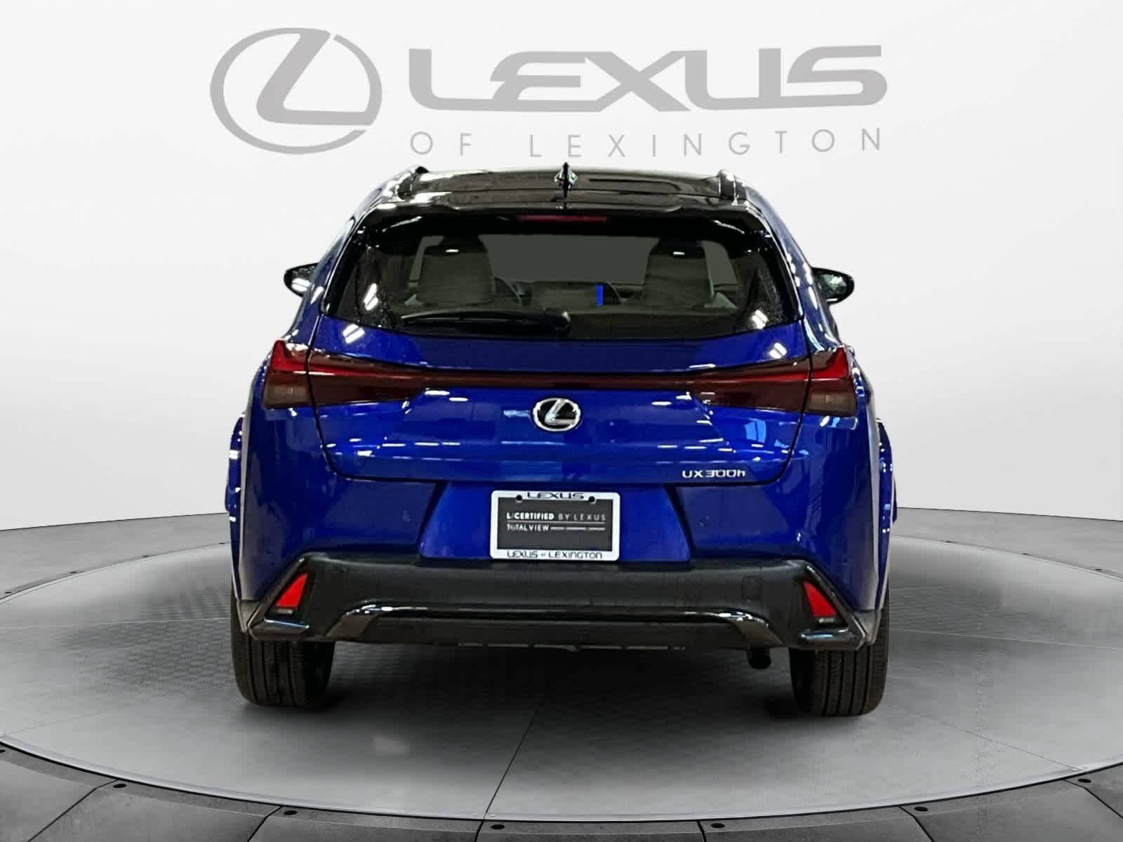 2025 Lexus UX 300h F SPORT Design