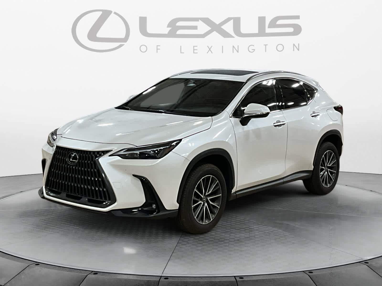 2024 Lexus NX 350 NX 350