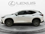 2024 Lexus NX 350 NX 350