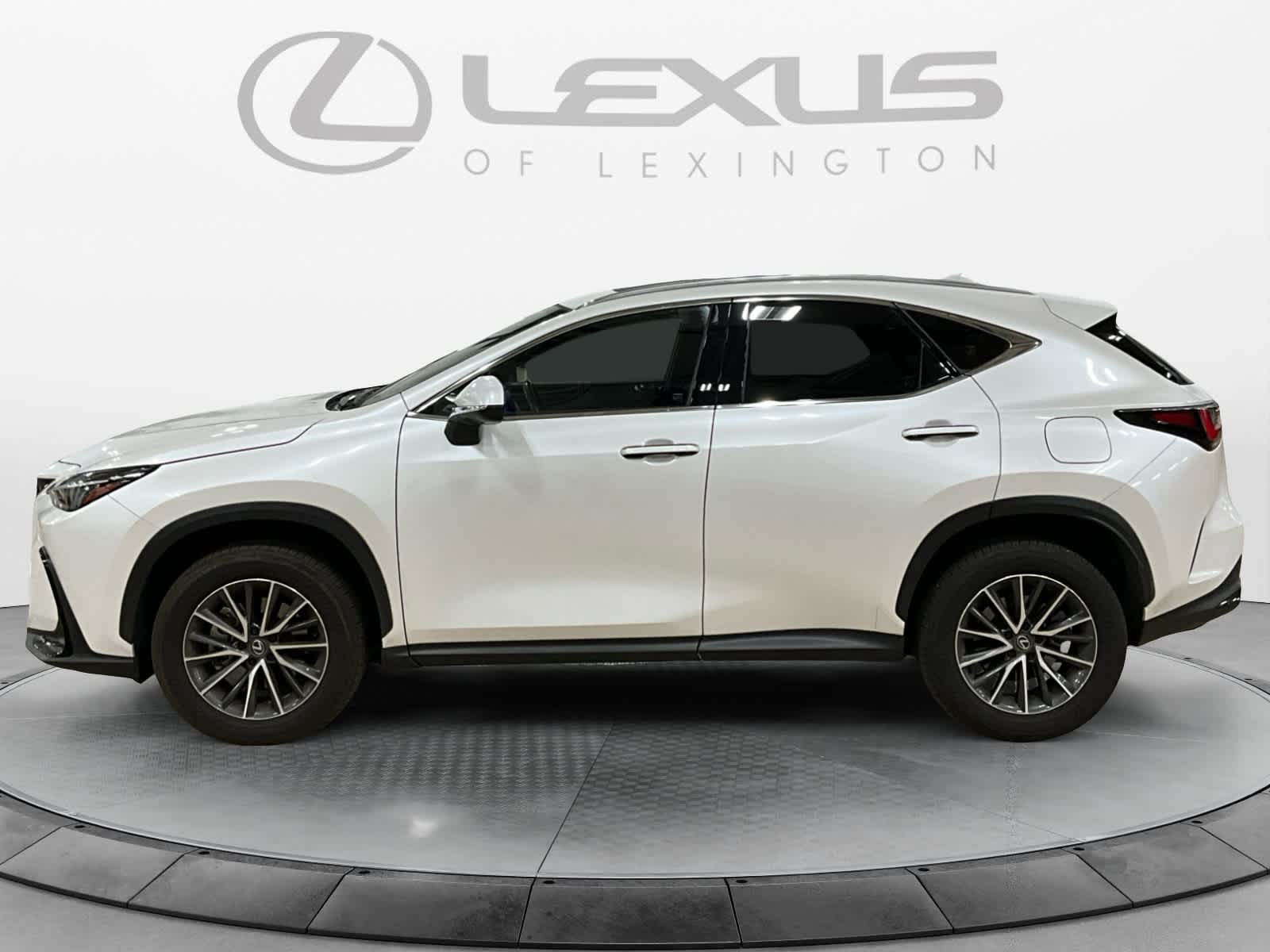 2024 Lexus NX 350 NX 350