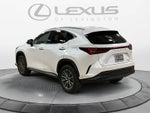 2024 Lexus NX 350 NX 350