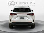 2024 Lexus NX 350 NX 350
