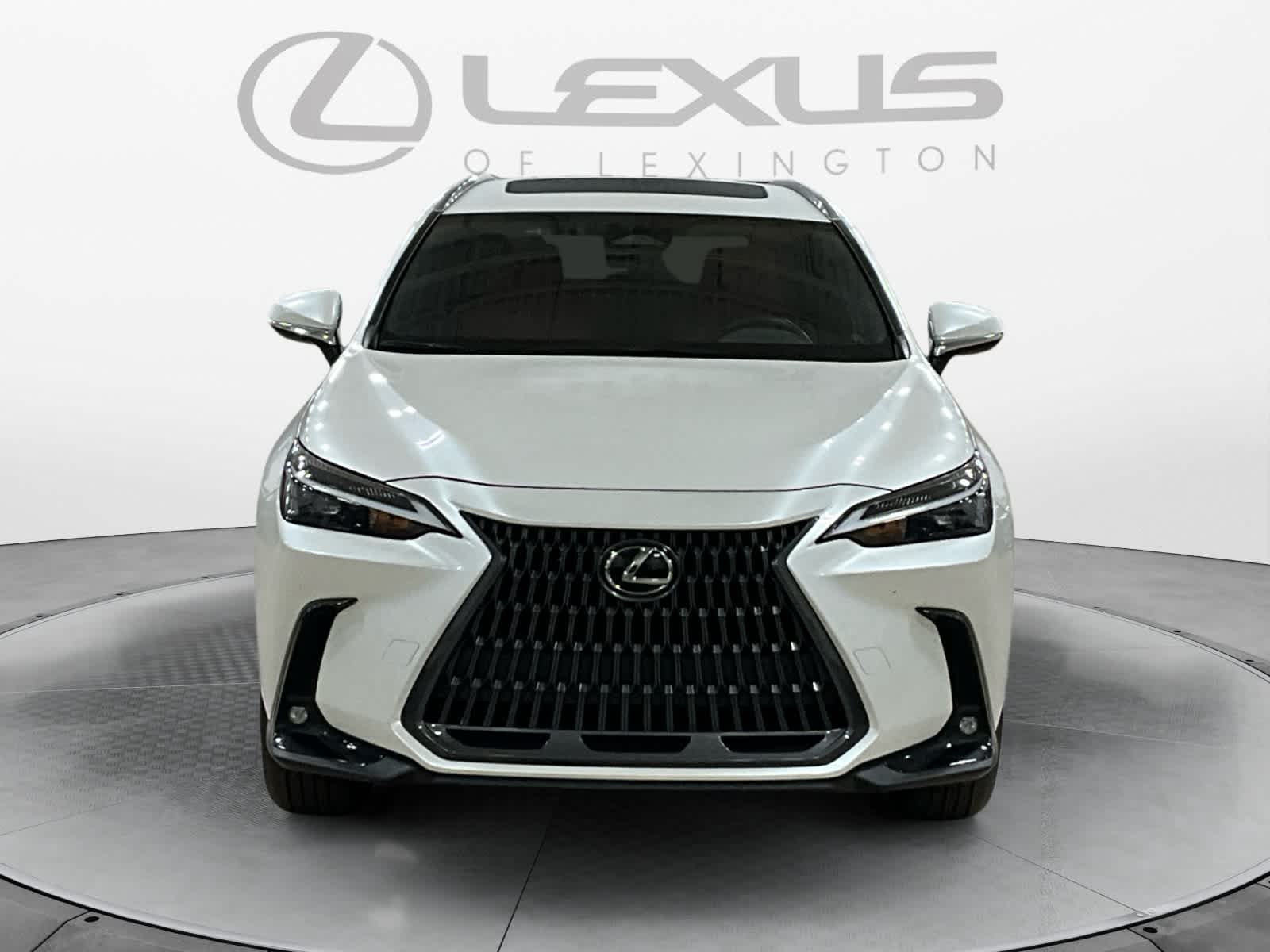 2024 Lexus NX 350 NX 350
