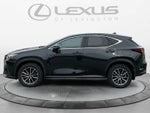 2024 Lexus NX 350h NX 350h