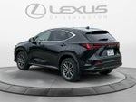 2024 Lexus NX 350h NX 350h