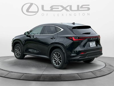 2024 Lexus NX 350h NX 350h