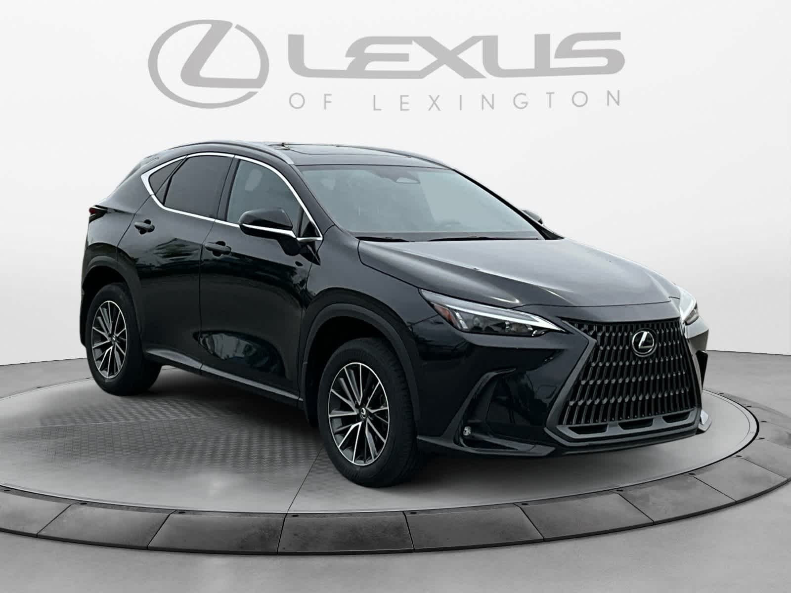 2024 Lexus NX 350h NX 350h