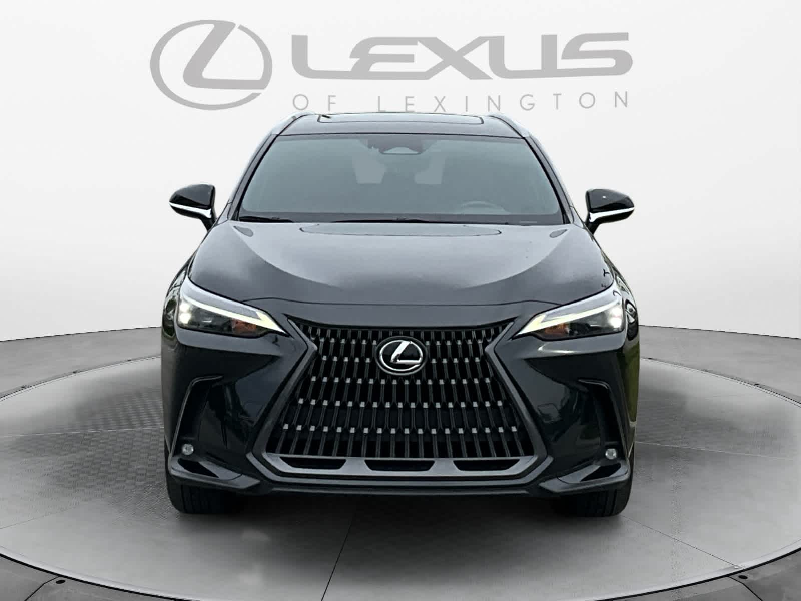 2024 Lexus NX 350h NX 350h