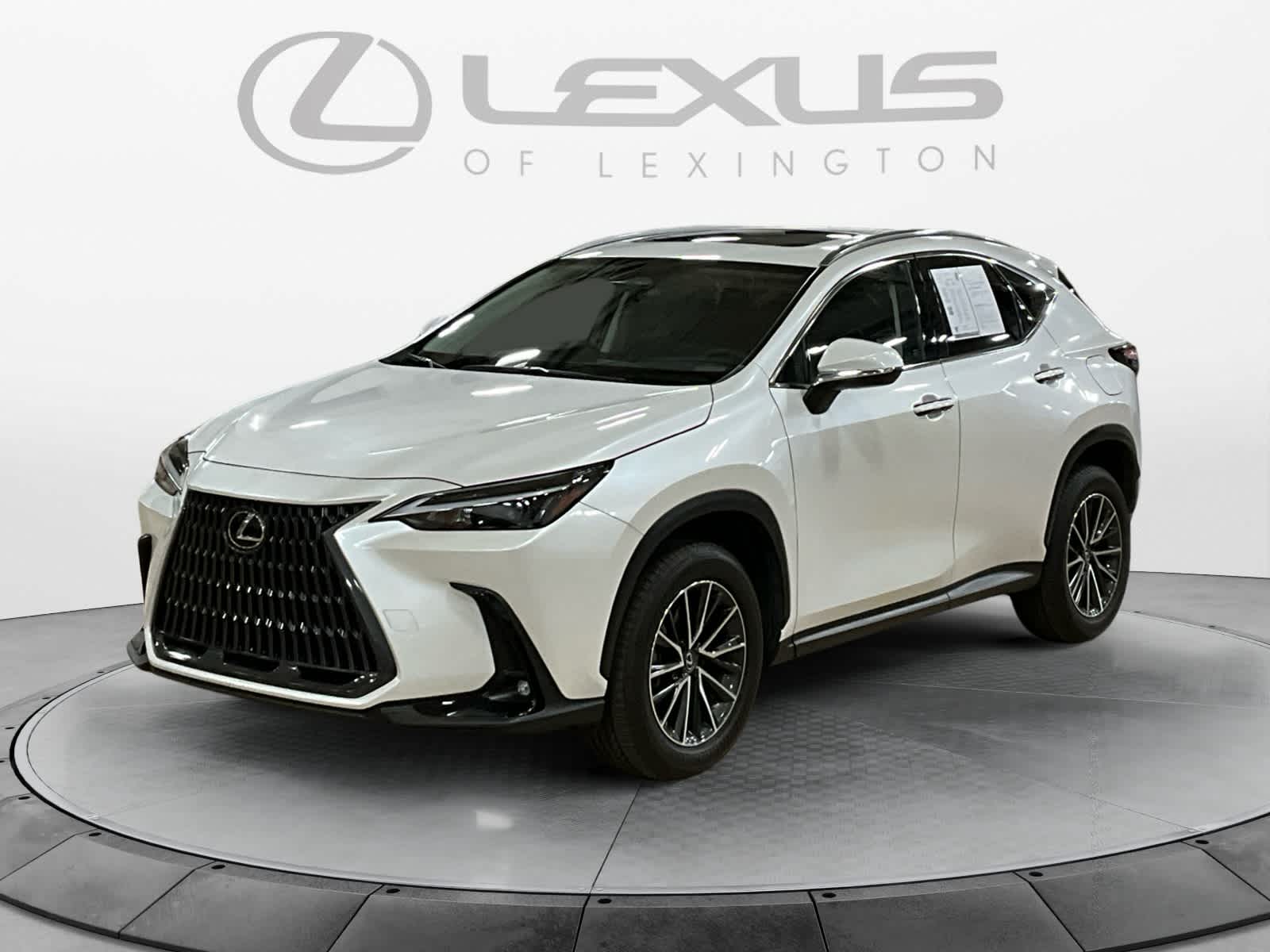 2024 Lexus NX 350h NX 350h