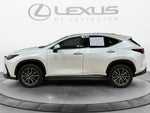 2024 Lexus NX 350h NX 350h