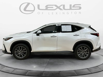 2024 Lexus NX 350h NX 350h