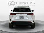 2024 Lexus NX 350h NX 350h