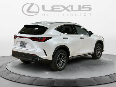 2024 Lexus NX 350h NX 350h