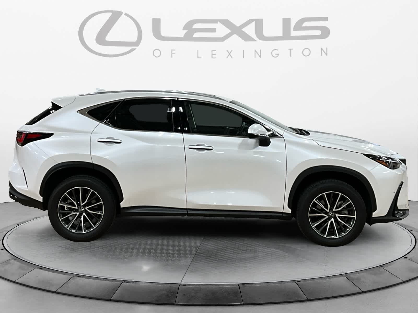 2024 Lexus NX 350h NX 350h