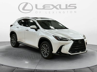 2024 Lexus NX 350h NX 350h