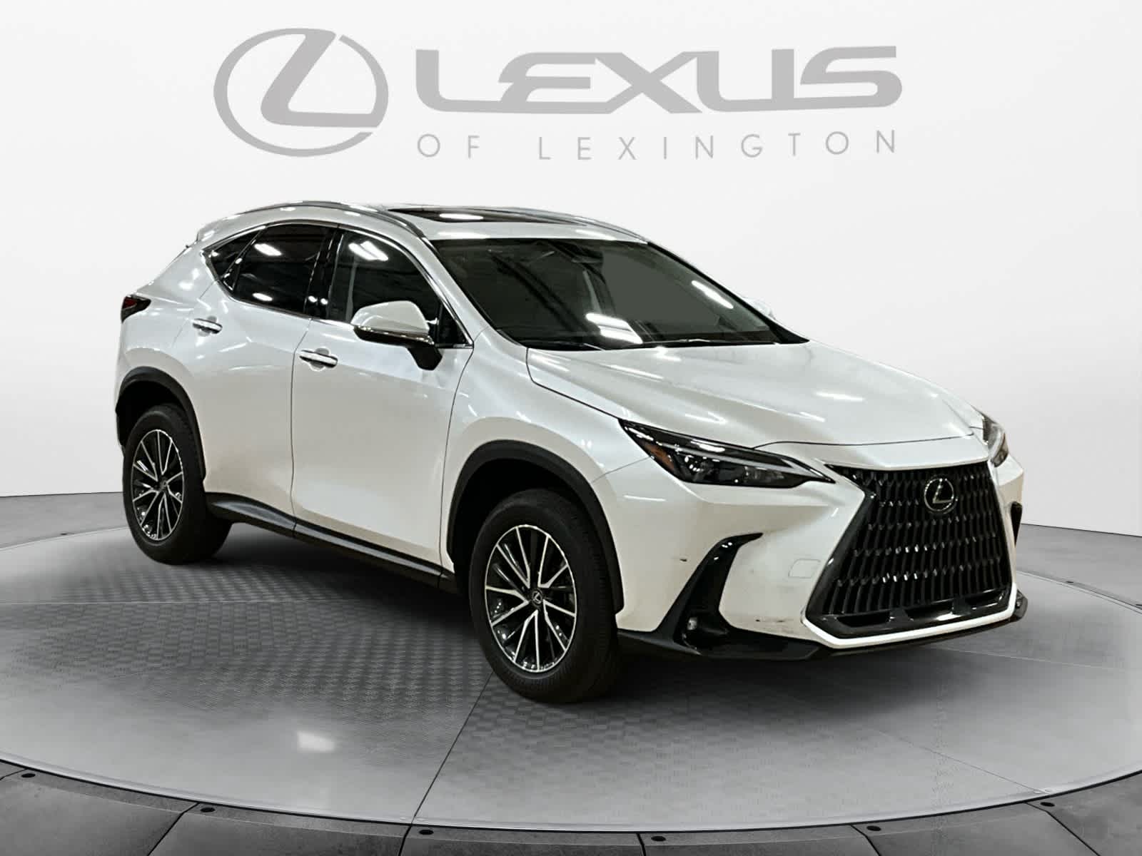 2024 Lexus NX 350h NX 350h