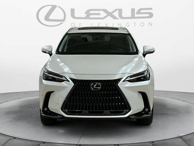 2024 Lexus NX 350h NX 350h