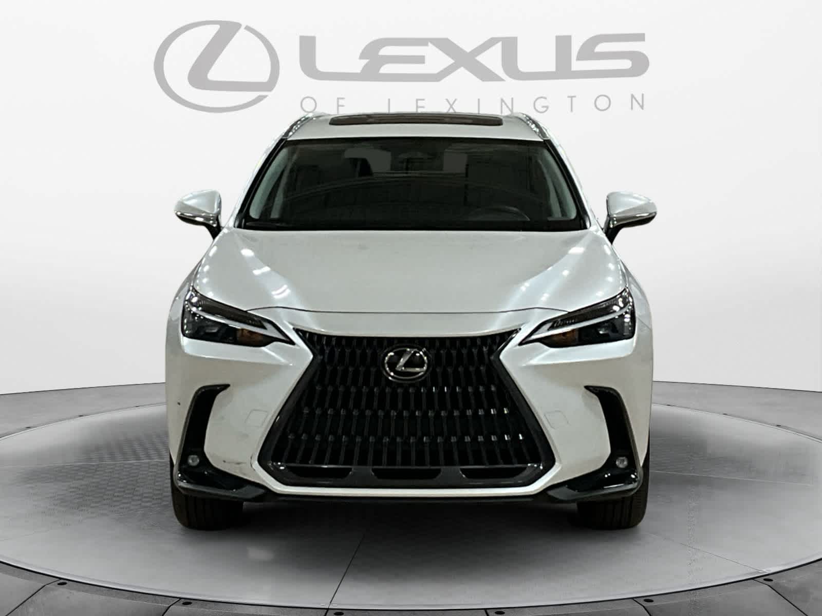 2024 Lexus NX 350h NX 350h