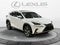 2019 Lexus NX 300 NX 300