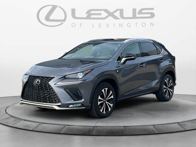 2019 Lexus NX 300 F SPORT