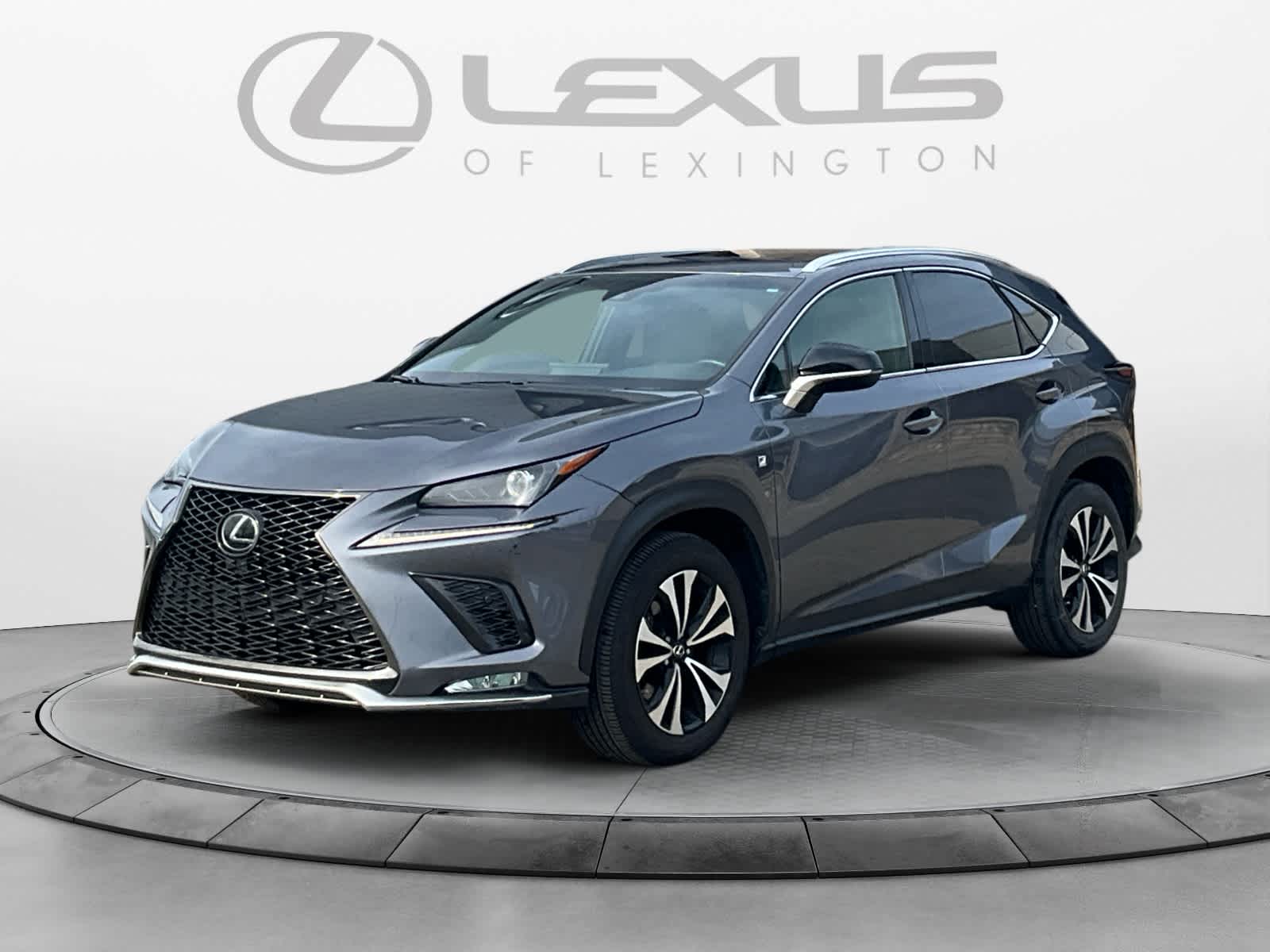 2019 Lexus NX 300 F SPORT