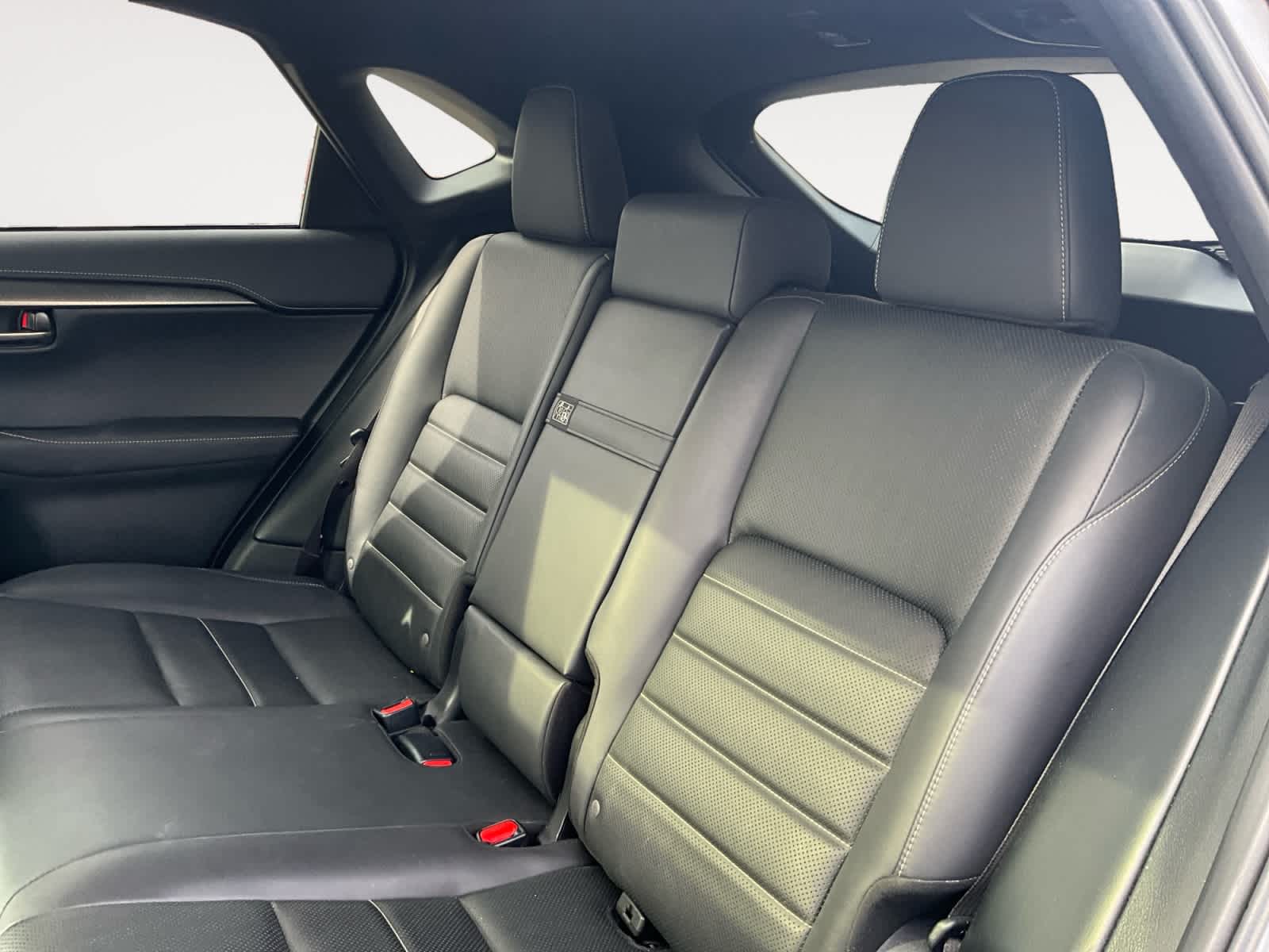 2019 Lexus NX 300 F SPORT