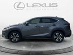 2019 Lexus NX 300 F SPORT