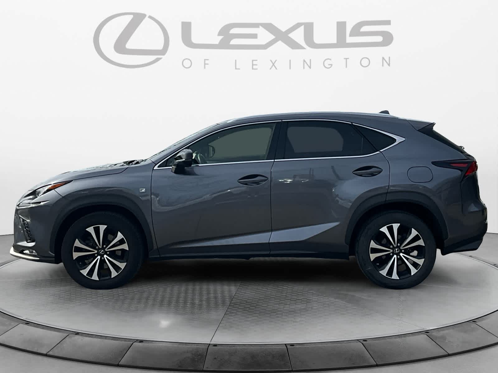 2019 Lexus NX 300 F SPORT