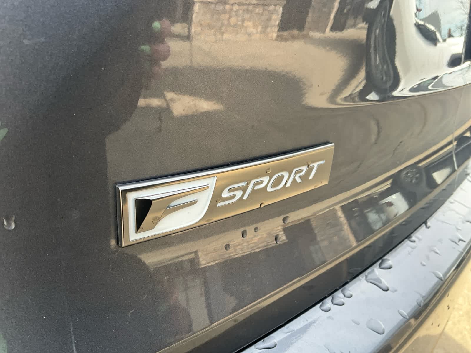 2019 Lexus NX 300 F SPORT