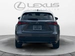 2019 Lexus NX 300 F SPORT