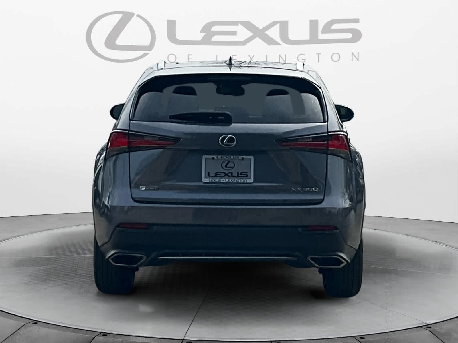 2019 Lexus NX 300 F SPORT