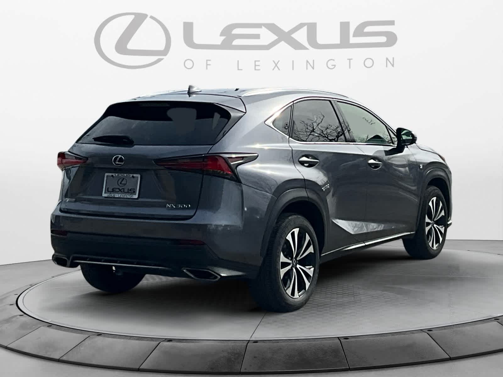 2019 Lexus NX 300 F SPORT