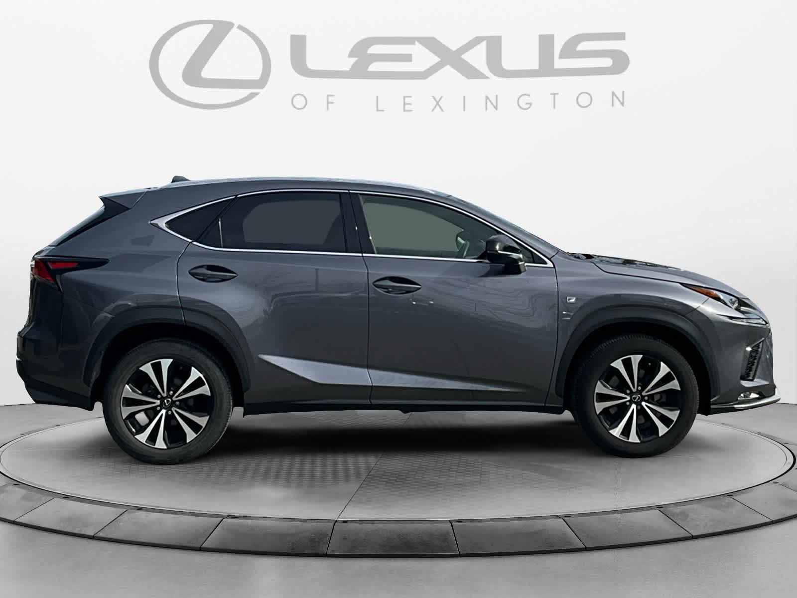 2019 Lexus NX 300 F SPORT