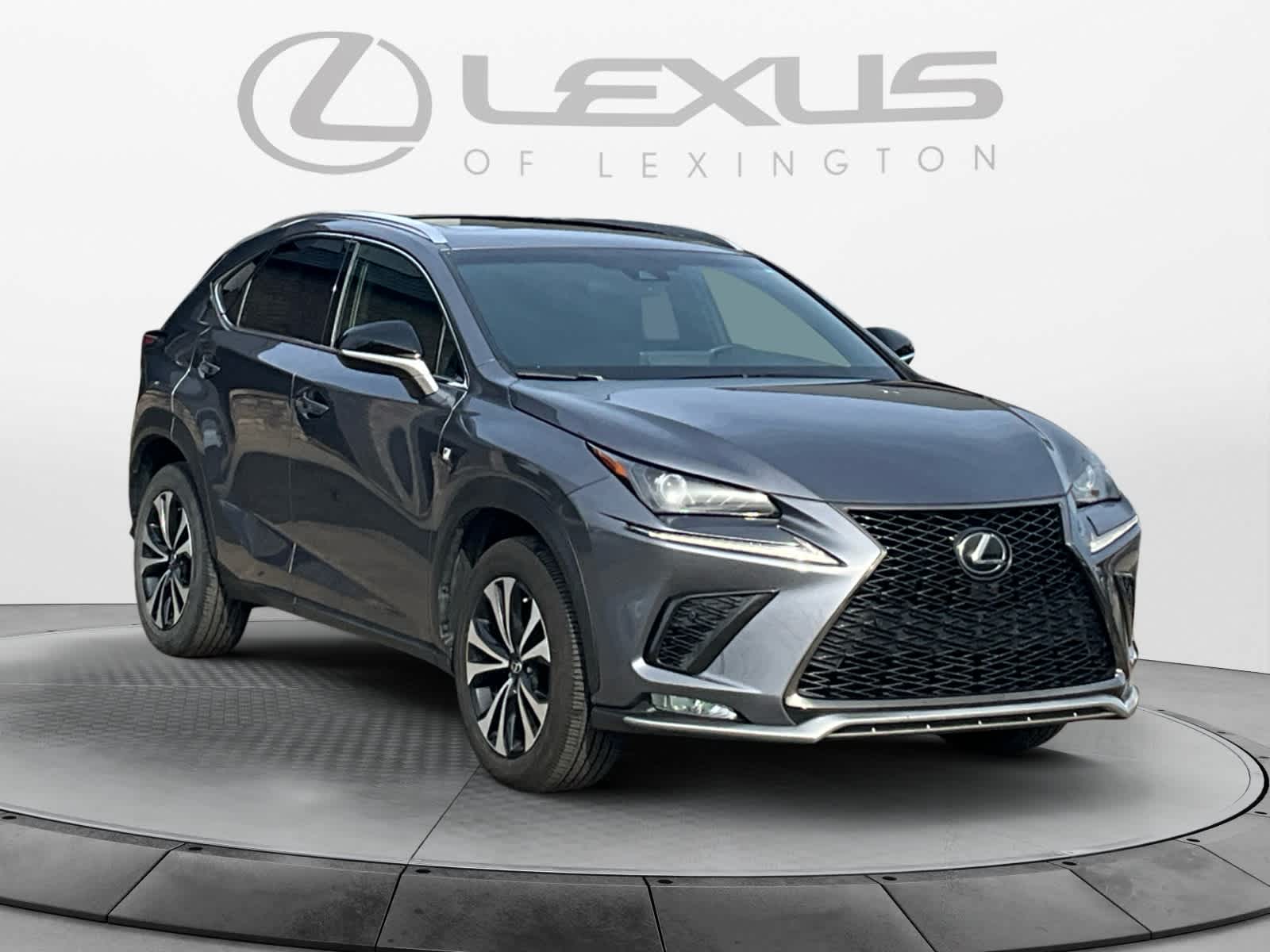 2019 Lexus NX 300 F SPORT