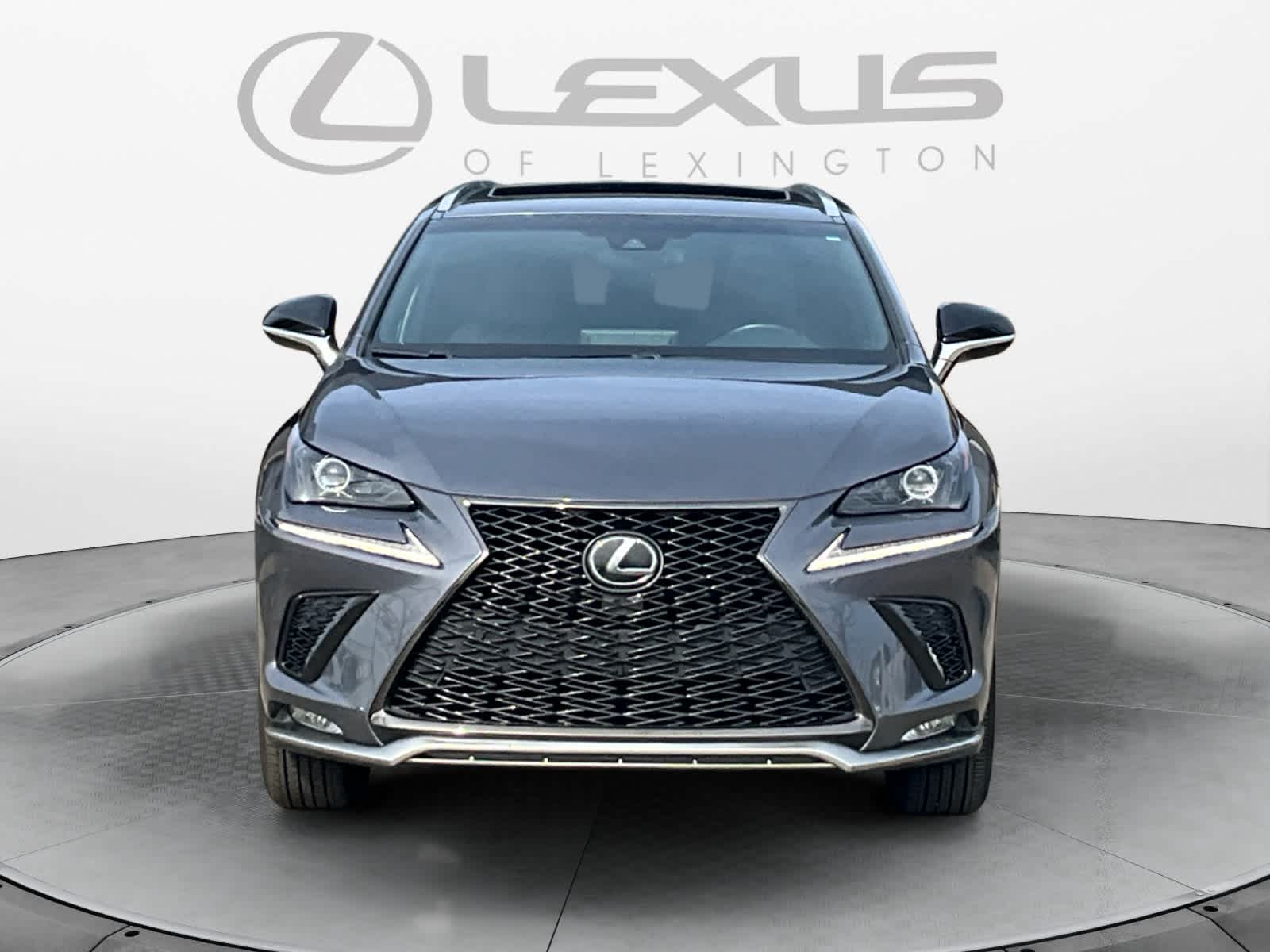 2019 Lexus NX 300 F SPORT