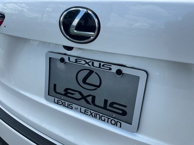 2018 Lexus NX 300 NX 300