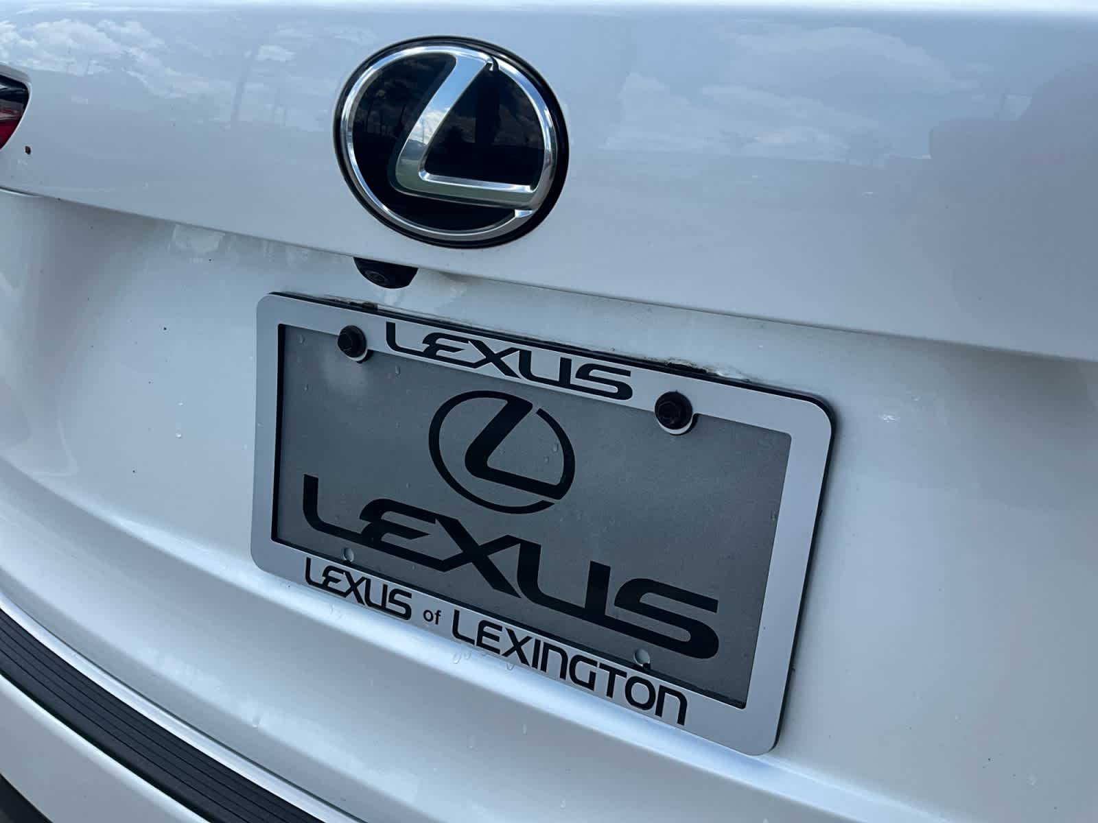 2018 Lexus NX 300 NX 300