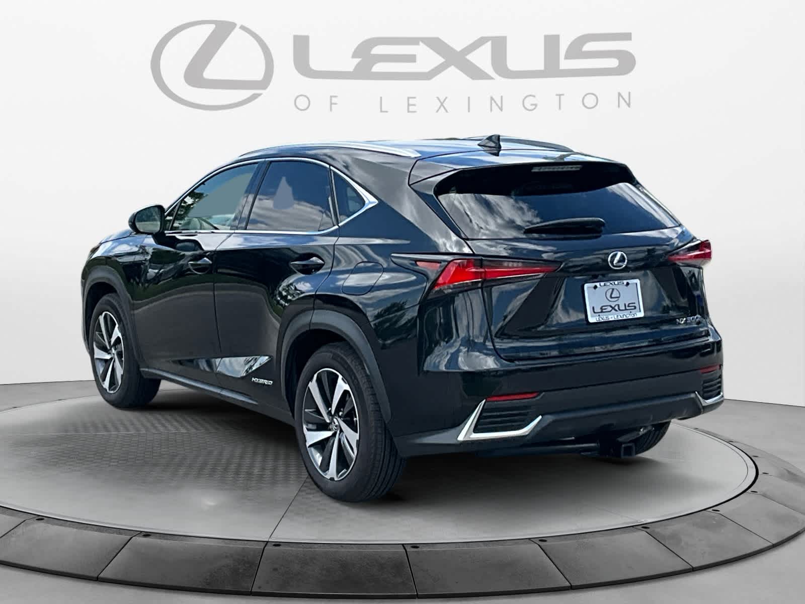2018 Lexus NX 300h NX 300h