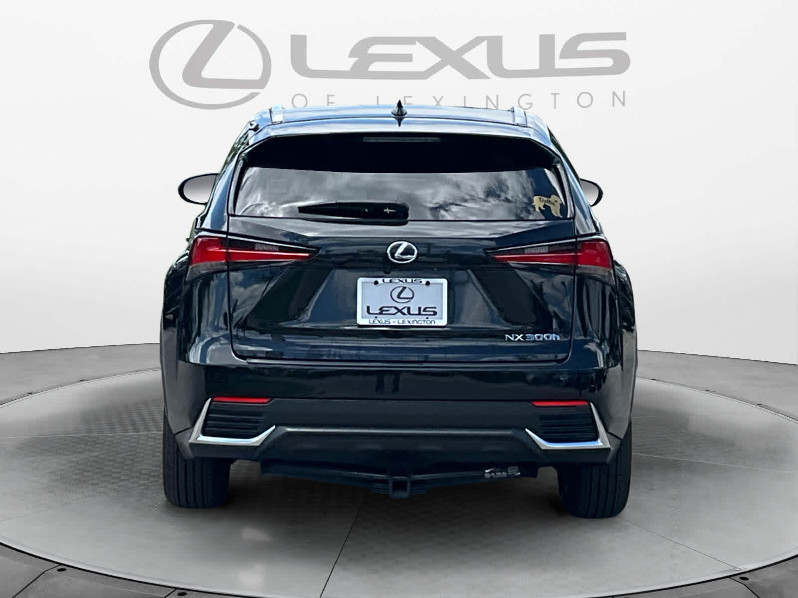 2018 Lexus NX 300h NX 300h