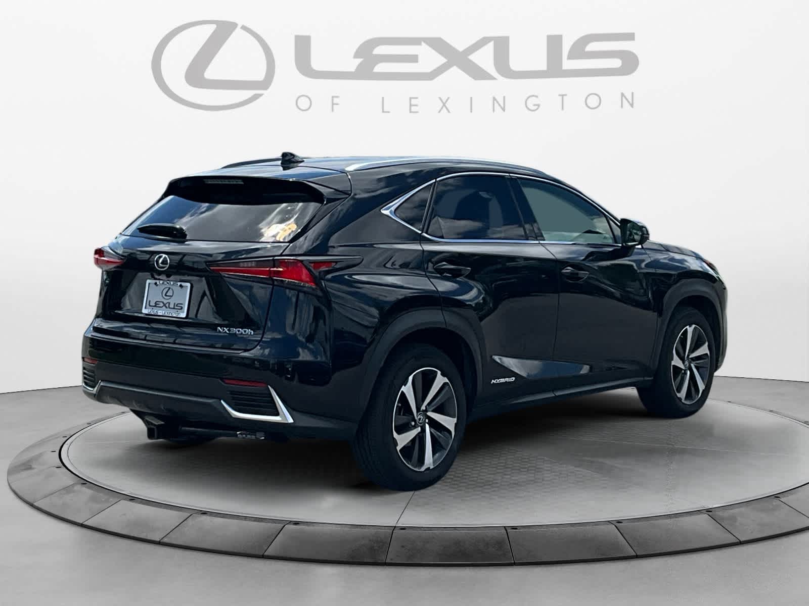 2018 Lexus NX 300h NX 300h