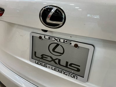 2021 Lexus NX 300 NX 300