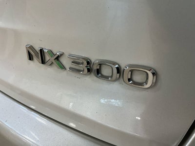 2021 Lexus NX 300 NX 300