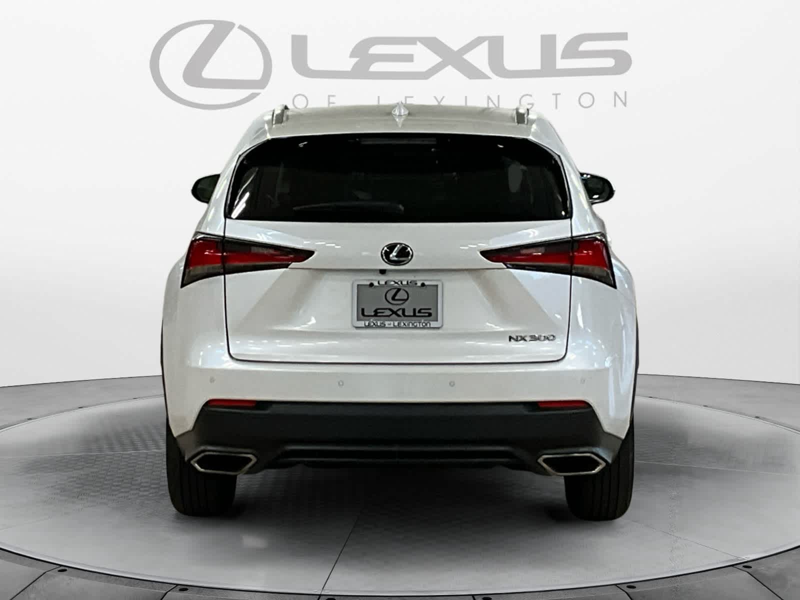 2021 Lexus NX 300 NX 300
